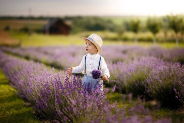 Küçük çocuk lavanta tarlasında yürüyor. Şık bir şapkayla.