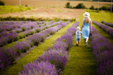 Küçük çocuk annesiyle lavanta tarlasında yürüyor..