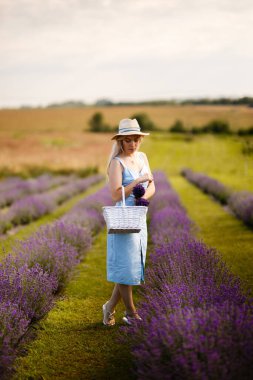 Sarı kız lavanta tarlasında hasır şapkalı ve mavi elbiseli..