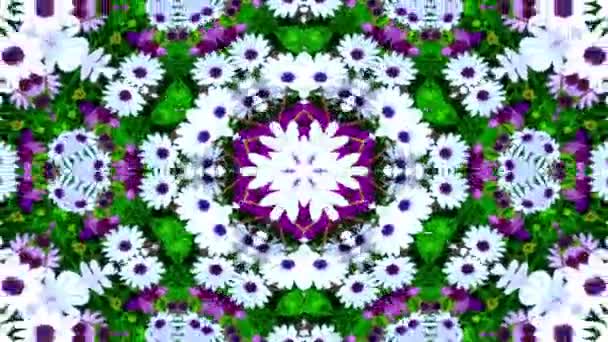 Abstrakte Symmetrische Geometrische Sterne Und Formen Kaleidoskop — Stockvideo