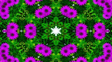 Soyut Renkli Çiçekler Flora Konsepti Simetrik Düzen Dekoratif Kaleydoskop Hareketi Geometrik Çember ve Yıldız Şekilleri