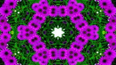 Soyut Renkli Çiçekler Flora Konsepti Simetrik Düzen Dekoratif Kaleydoskop Hareketi Geometrik Çember ve Yıldız Şekilleri