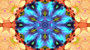Soyut Renkli Çiçekler Flora Konsepti Simetrik Düzen Dekoratif Kaleydoskop Hareketi Geometrik Çember ve Yıldız Şekilleri