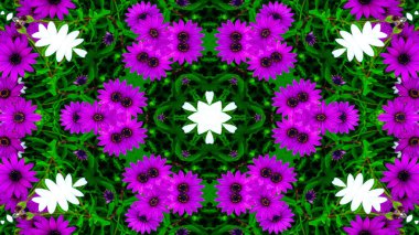 Soyut Renkli Çiçekler Flora Konsepti Simetrik Düzen Dekoratif Kaleydoskop Hareketi Geometrik Çember ve Yıldız Şekilleri