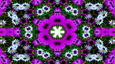 Soyut Renkli Çiçekler Flora Konsepti Simetrik Düzen Dekoratif Kaleydoskop Hareketi Geometrik Çember ve Yıldız Şekilleri
