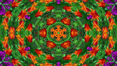 Çiçekler Flora Kaleidoscope