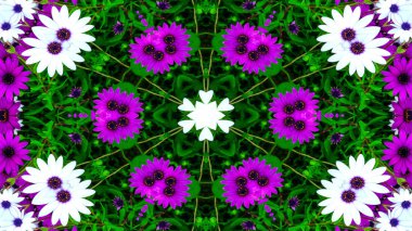 Soyut Renkli Çiçekler Flora Konsepti Simetrik Düzen Dekoratif Kaleydoskop Hareketi Geometrik Çember ve Yıldız Şekilleri