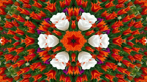 Flores Coloridas Abstratas Flora Concept Padrão Simétrico Caleidoscópio Decorativo Decorativo — Fotografia de Stock