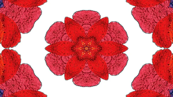 Abstrakt Bunte Blumen Flora Konzept Symmetrische Muster Ornamentale Dekorative Kaleidoskop — Stockfoto