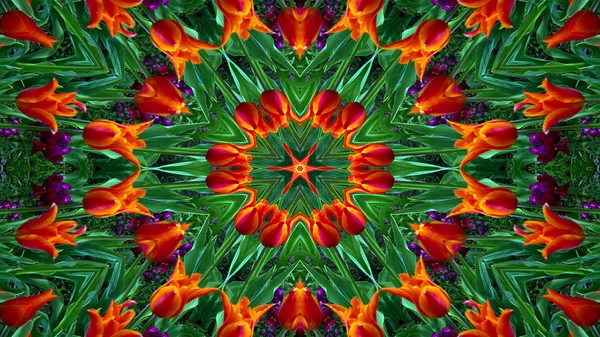 Abstrakt Bunte Blumen Flora Konzept Symmetrische Muster Ornamentale Dekorative Kaleidoskop — Stockfoto