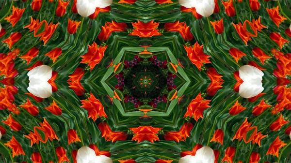 Fleurs Colorées Abstraites Flore Concept Motif Symétrique Décoratif Kaléidoscope Décoratif — Photo