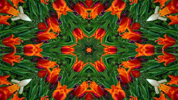 Absztrakt Színes Virágok Flora Koncepció Szimmetrikus Minta Díszítő Kaleidoszkóp Mozgalom — Stock Fotó