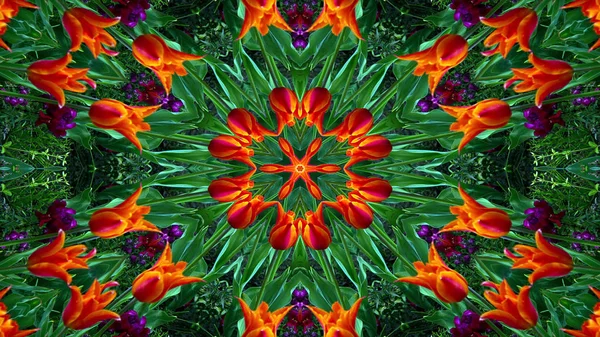 Abstrakt Bunte Blumen Flora Konzept Symmetrische Muster Ornamentale Dekorative Kaleidoskop — Stockfoto