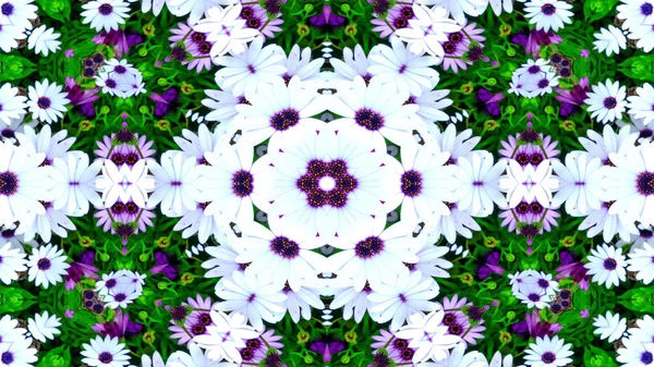 Abstract Colorful Flowers Flora Concept Symmetric Pattern Ornamental Decorative Kaleidoscope — Stock Photo, Image
