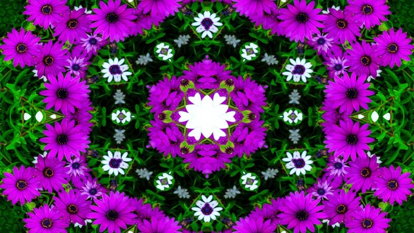 Abstract Kleurrijke Bloemen Flora Concept Symmetrisch Patroon Decoratieve Caleidoscoop Beweging — Stockfoto
