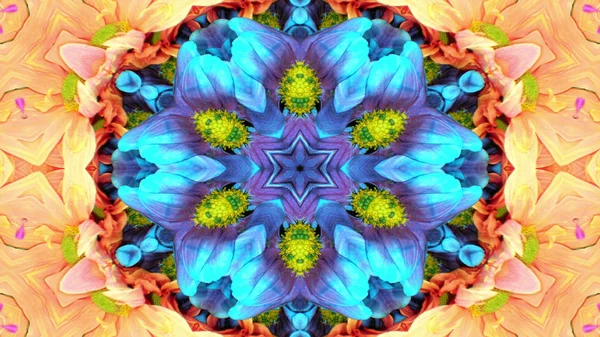 Αφηρημένη Πολύχρωμα Λουλούδια Flora Concept Συμμετρικό Μοτίβο Διακοσμητική Διακοσμητική Κίνηση — Φωτογραφία Αρχείου