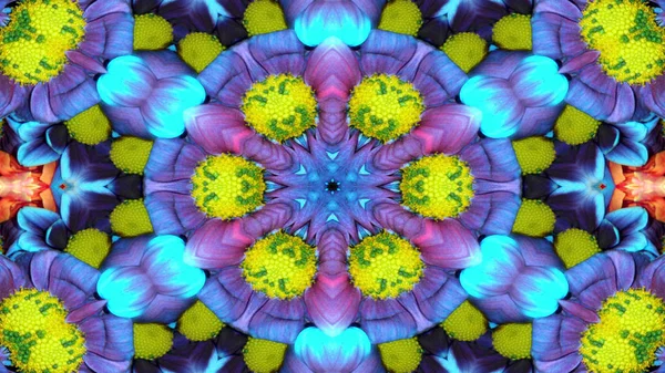 Abstrakt Bunte Blumen Flora Konzept Symmetrische Muster Ornamentale Dekorative Kaleidoskop — Stockfoto