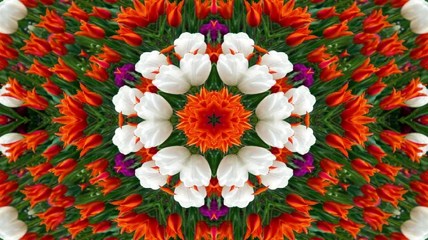 Абстрактные Цветы Красочные Цветы Концепция Флоры Симметричный Узор Декоративный Декоративный — стоковое фото
