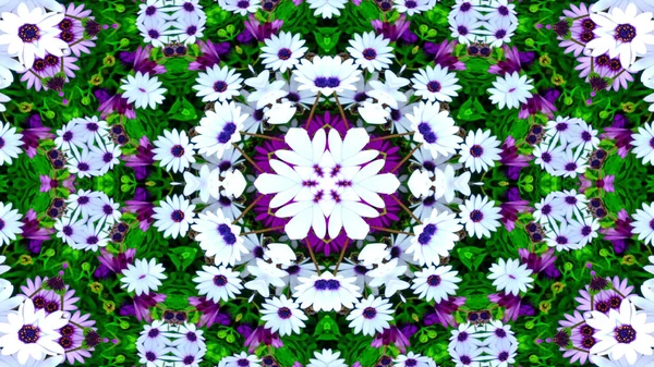 Abstract Kleurrijke Bloemen Flora Concept Symmetrisch Patroon Decoratieve Caleidoscoop Beweging — Stockfoto