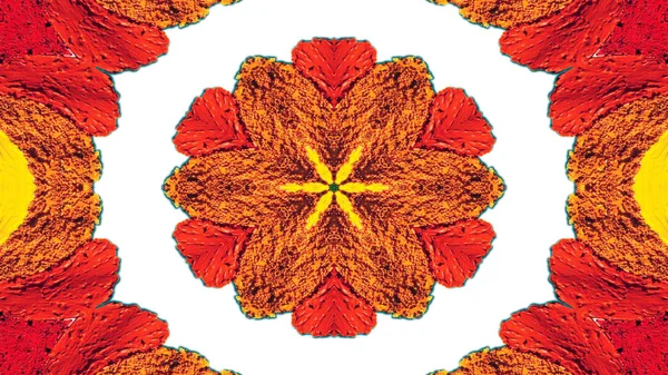 Abstract Colorful Flowers Flora Concept Symmetic Pattern Ornamental Decorative Kaleidoscope — стокове фото