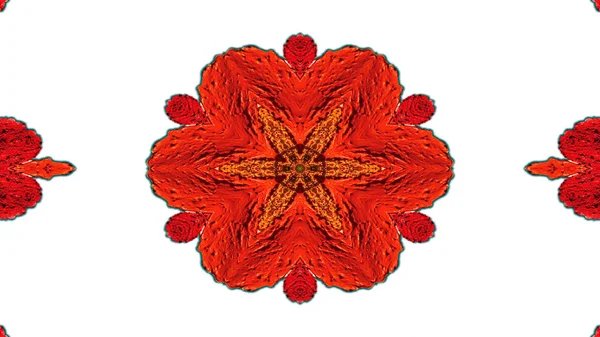 Soyut Renkli Çiçekler Flora Konsepti Simetrik Düzen Dekoratif Kaleydoskop Hareketi — Stok fotoğraf