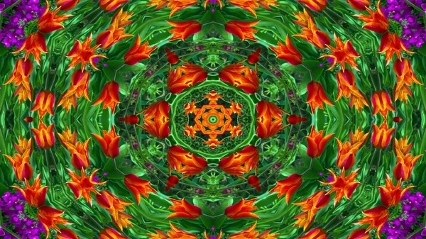 Abstrakt Bunte Blumen Flora Konzept Symmetrische Muster Ornamentale Dekorative Kaleidoskop — Stockfoto