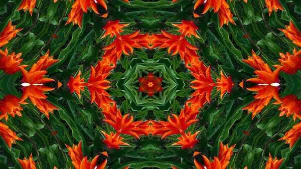 抽象的なカラフルな花の概念対称パターン装飾的な万華鏡の動き幾何学的な円と星の形 — ストック写真