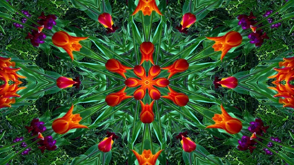 Absztrakt Színes Virágok Flora Koncepció Szimmetrikus Minta Díszítő Kaleidoszkóp Mozgalom — Stock Fotó