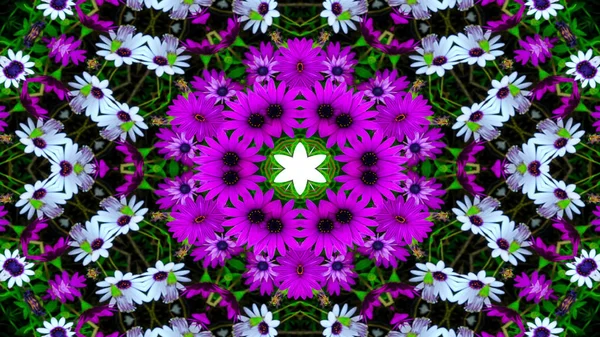 Abstrakcyjne Kolorowe Kwiaty Flora Concept Symetryczny Wzór Dekoracyjny Kalejdoskop Ruch — Zdjęcie stockowe