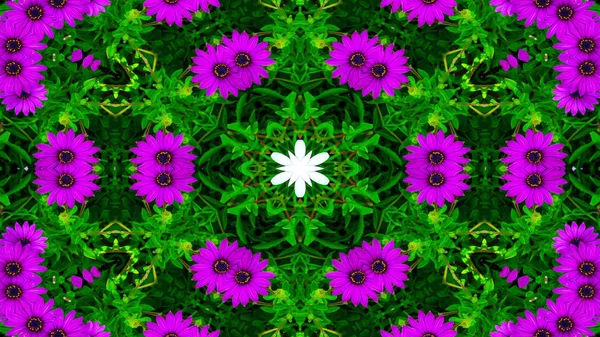 Abstrakta Rgglada Blommor Flora Concept Symmetriska Mönster Prydnads Dekorativa Kalejdoskop — Stockfoto