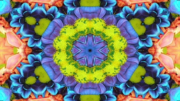 Λουλούδια χλωρίδα Καλειδοσκόπιο — Φωτογραφία Αρχείου