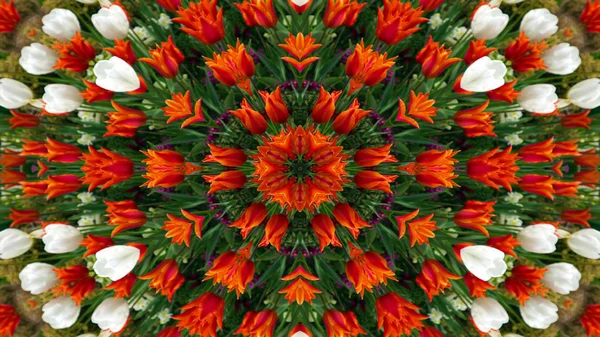 Flowers Flora Kaleidoscope