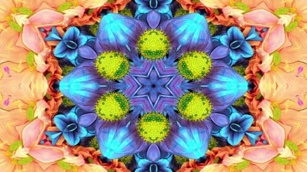 Abstrakt Bunte Blumen Flora Konzept Symmetrische Muster Ornamentale Dekorative Kaleidoskop — Stockfoto