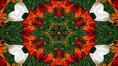 Soyut Renkli Çiçekler Flora Konsepti Simetrik Düzen Dekoratif Kaleydoskop Hareketi Geometrik Çember ve Yıldız Şekilleri