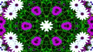 Soyut Renkli Çiçekler Flora Konsepti Simetrik Düzen Dekoratif Kaleydoskop Hareketi Geometrik Çember ve Yıldız Şekilleri