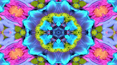 Soyut Renkli Çiçekler Flora Konsepti Simetrik Düzen Dekoratif Kaleydoskop Hareketi Geometrik Çember ve Yıldız Şekilleri