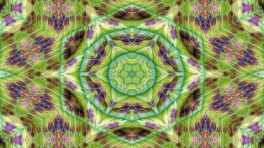 Soyut Renkli Çiçekler Flora Konsepti Simetrik Düzen Dekoratif Kaleydoskop Hareketi Geometrik Çember ve Yıldız Şekilleri