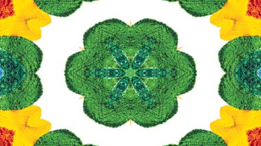 Soyut Renkli Çiçekler Flora Konsepti Simetrik Düzen Dekoratif Kaleydoskop Hareketi Geometrik Çember ve Yıldız Şekilleri