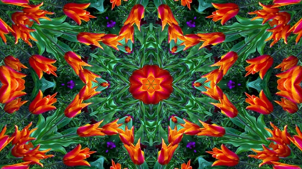 Absztrakt Színes Virágok Flora Koncepció Szimmetrikus Minta Díszítő Kaleidoszkóp Mozgalom — Stock Fotó