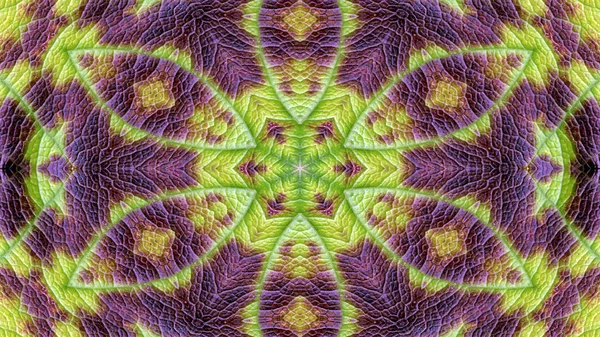 Abstract Colorful Flowers Flora Concept Symmetic Pattern Ornamental Decorative Kaleidoscope — стокове фото