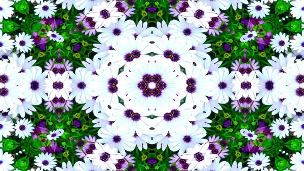 Abstrakta Rgglada Blommor Flora Concept Symmetriska Mönster Prydnads Dekorativa Kalejdoskop — Stockfoto