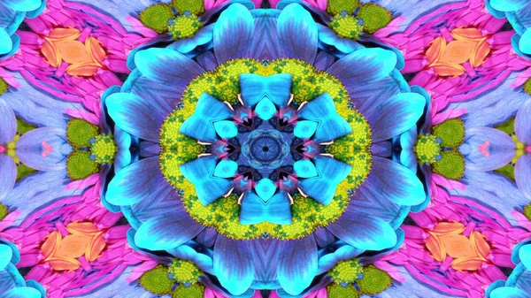 Abstrakt Bunte Blumen Flora Konzept Symmetrische Muster Ornamentale Dekorative Kaleidoskop — Stockfoto