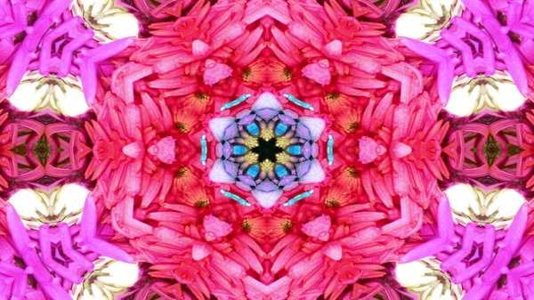 Abstract Colorful Flowers Flora Concept Symmetic Pattern Ornamental Decorative Kaleidoscope — стокове фото