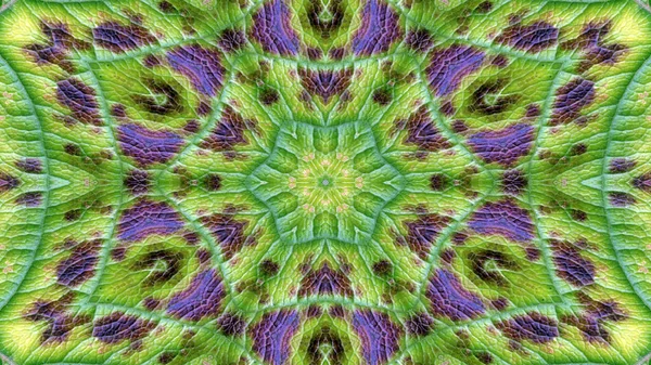 Abstrakt Fargerik Blomst Flora Konsept Symmetrisk Mønster Dekorativ Kaleidoskopbevegelse Geometrisk – stockfoto