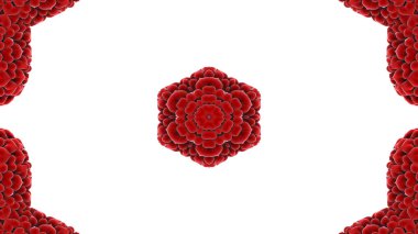 Soyut renkli aşk kalp ve tutku renkler kavramı simetrik desen süs dekoratif Kaleidoscope hareketi geometrik daire ve yıldız şekiller