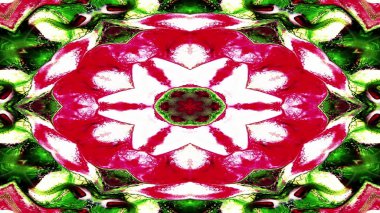 Soyut Renkli Simetrik Desensel Dekoratif Kaleydoskop Hareketi Geometrik Çember ve Yıldız Şekilleri