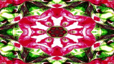 Soyut Renkli Simetrik Desensel Dekoratif Kaleydoskop Hareketi Geometrik Çember ve Yıldız Şekilleri