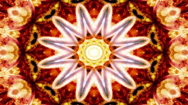 Soyut Renkli Simetrik Desensel Dekoratif Kaleydoskop Hareketi Geometrik Çember ve Yıldız Şekilleri