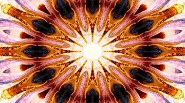 Soyut Renkli Simetrik Desensel Dekoratif Kaleydoskop Hareketi Geometrik Çember ve Yıldız Şekilleri