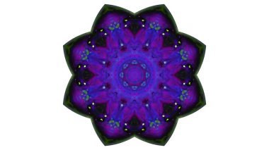 Soyut boya fırça mürekkep patlayabilir formanın düzgün kavramı simetrik desen süs dekoratif Kaleidoscope hareketi geometrik daire ve yıldız şekiller